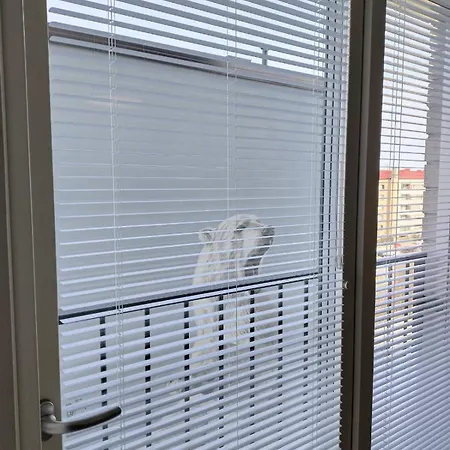 Foliate Living Varpu *